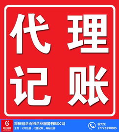 向企而創 南岸代理記賬與代理代辦服務助力企業高效發展