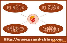 二手注塑機(jī)進(jìn)口代理與軟件服務(wù) 一站式解決方案助力企業(yè)降本增效